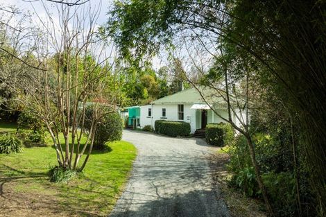 Photo of property in 324 Youngson Road, Whakamarama, Tauranga, 3179