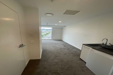 Photo of property in Vsp South, 301/168u Victoria Street, Te Aro, Wellington, 6011
