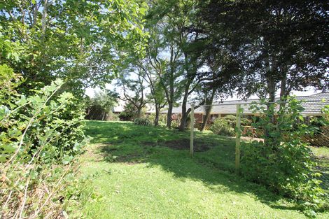 Photo of property in 19 Mcdonald Street, Brockville, Dunedin, 9011