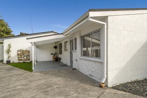 Photo of property in 2/178 Eleventh Avenue, Tauranga, 3110