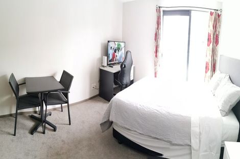 Photo of property in Dual Apartments, 108/142 Vivian Street, Te Aro, Wellington, 6011