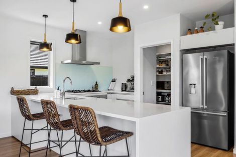 Photo of property in 45 Roys Street, Marshland, Christchurch, 8083