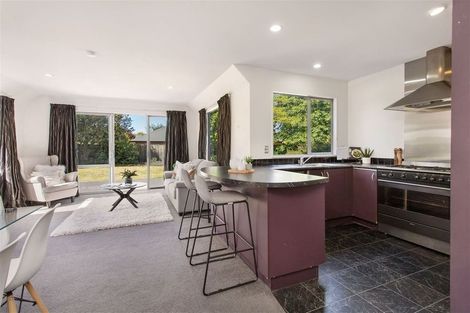 Photo of property in 57 Brookside Road, Rolleston, 7614