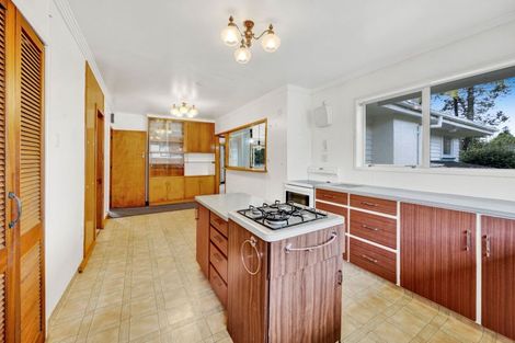 Photo of property in 20 Hinerua Street, Maungatapu, Tauranga, 3112