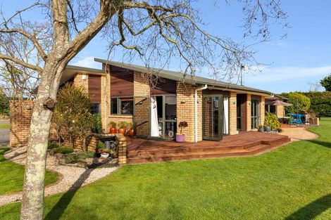 Photo of property in 161 Hautapu Road, Pukemoremore, Cambridge, 3493