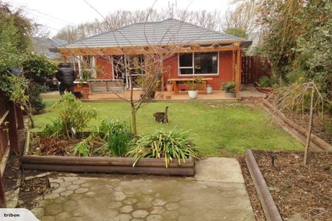 Photo of property in 43 Studholme Street, Somerfield, Christchurch, 8024