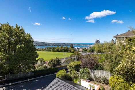 Photo of property in 16 Littlebourne Road, Roslyn, Dunedin, 9010