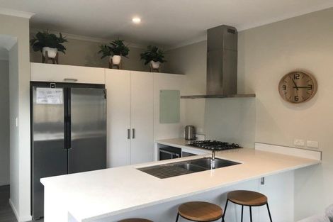 Photo of property in 11 Lanyard Street, Pyes Pa, Tauranga, 3112