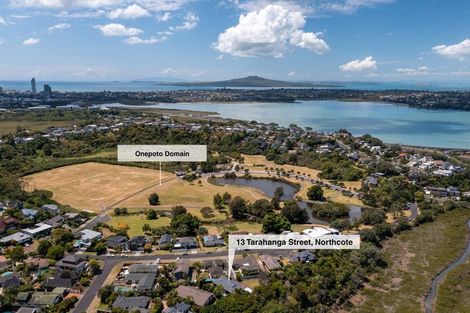 Photo of property in 13 Tarahanga Street, Northcote, Auckland, 0627