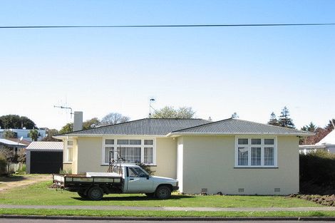 Photo of property in 29 Skerman Street, Marton, 4710