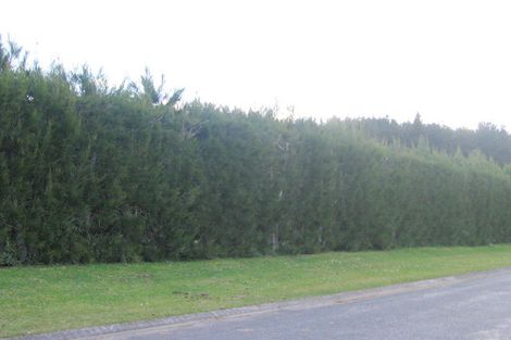 Photo of property in 16 Allan Drive, Whangamata, 3691