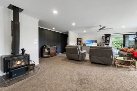 Photo of property in 131 Hogg Road, Rotoma, Whakatane, 3192