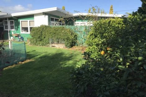 Photo of property in 16 Saxton Street, Levin, 5510