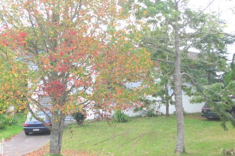 Photo of property in 19 Dellwood Avenue, Henderson, Auckland, 0612