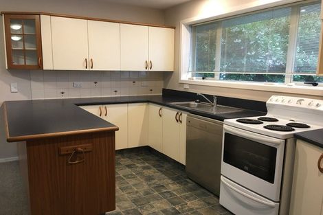 Photo of property in 20 Whitehall Street, Mairehau, Christchurch, 8013