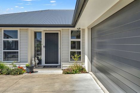 Photo of property in 17 Morrell Street, Tawhero, Whanganui, 4501