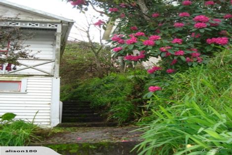 Photo of property in 13 Mortimer Terrace, Aro Valley, Wellington, 6021