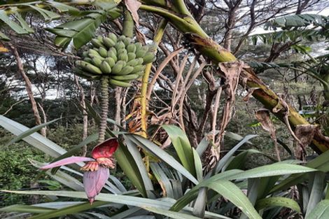 Photo of property in 1213a State Highway 10, Kerikeri, 0293