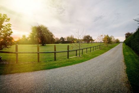 Photo of property in 25 Racecourse Road, Cambridge, 3493