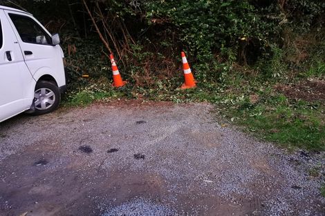 Photo of property in 88 Newlands Road, Newlands, Wellington, 6037