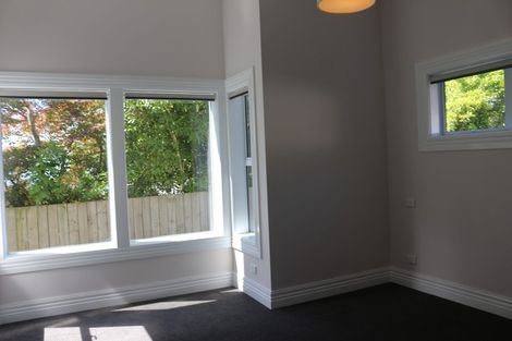 Photo of property in 1/8 Merlin Street, Roslyn, Dunedin, 9010