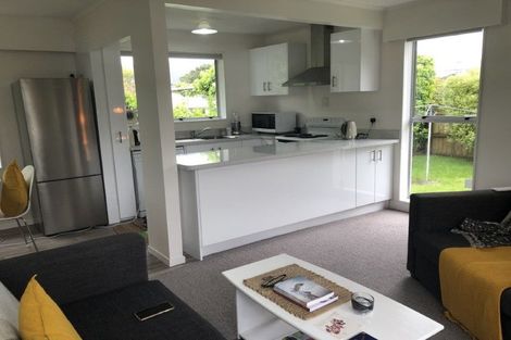 Photo of property in 66 Brunswick Street, Hutt Central, Lower Hutt, 5010