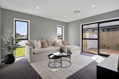 Photo of property in 114 Churcher Street, Feilding, 4702