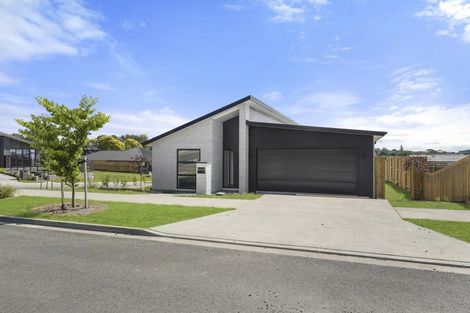 Photo of property in 14 Celeste Terrace, Peacocke, 3206