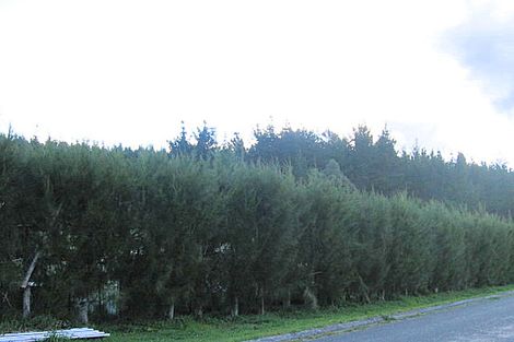 Photo of property in 6 Allan Drive, Whangamata, 3691