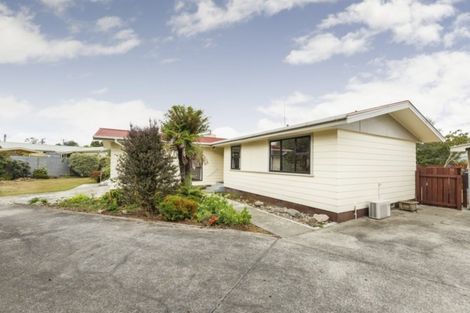 Photo of property in 214 Cambridge Avenue, Ashhurst, 4810