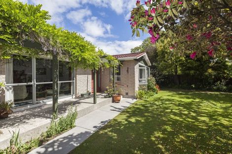 Photo of property in 8 Esher Place, Saint Martins, Christchurch, 8022