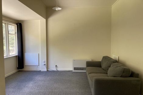 Photo of property in 379b Ohiro Road, Brooklyn, Wellington, 6021