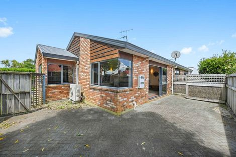 Photo of property in 199 Thomas Road, Rototuna North, Hamilton, 3210
