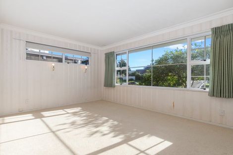 Photo of property in 22b Sixth Avenue, Tauranga, 3110