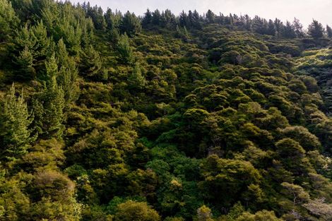 Photo of property in 895 Waikakaho Road, Tuamarina, Blenheim, 7273