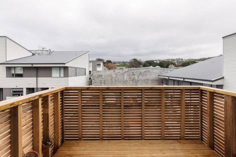 Photo of property in 24u6 Princess Terrace, Newtown, Wellington, 6021