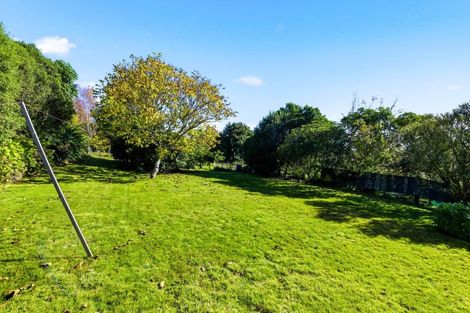 Photo of property in 164 Omori Road, Omori, Turangi, 3381