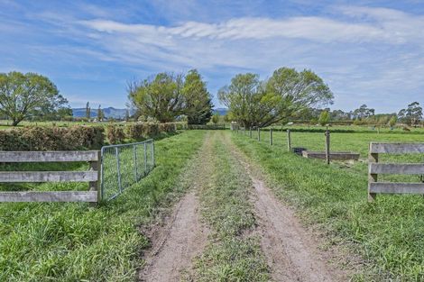 Photo of property in 41 Poplar Lane, Lincoln, Christchurch, 7674