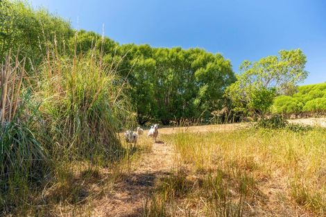 Photo of property in 50 Cliff Road, Tasman, Upper Moutere, 7173