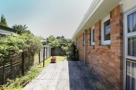Photo of property in 149 Rimu Street, Maeroa, Hamilton, 3200