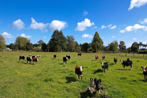 Photo of property in 31 Ludbrook Road, Pakaraka, Kaikohe, 0472