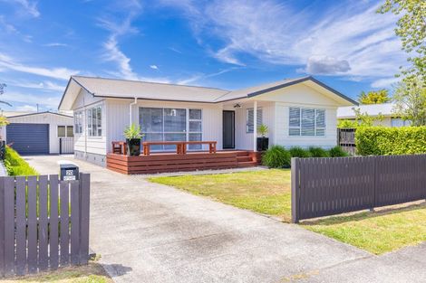 Photo of property in 20 Caernarvon Street, Dinsdale, Hamilton, 3204