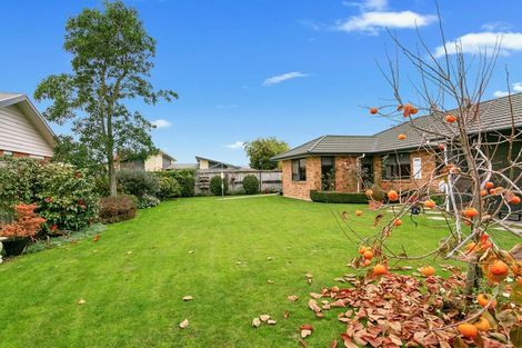 Photo of property in 38 Oaklands Drive, Cambridge, 3434