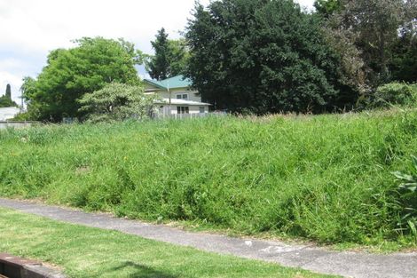 Photo of property in 47 Ashlynne Avenue, Papatoetoe, Auckland, 2025