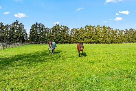 Photo of property in 42 Dysart Lane, Kumeu, 0891