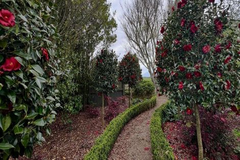 Photo of property in 574 Wardville Road, Wardville, Waharoa, 3474