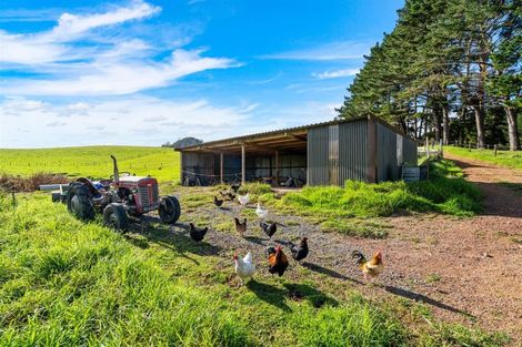Photo of property in 533 Pataua South Road, Pataua South, Onerahi, 0192
