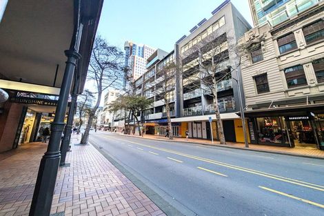 Photo of property in Gerondis Bldg Apartments, 305/60 Willis Street, Wellington Central, Wellington, 6011