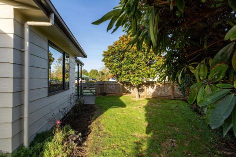 Photo of property in 11 Williamson Place, Geraldine, 7930