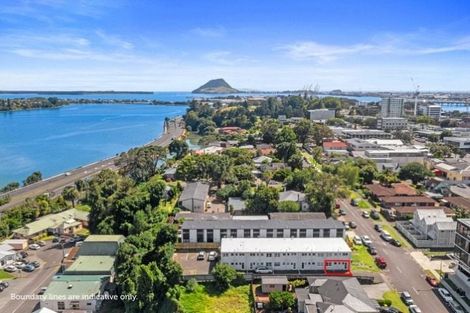 Photo of property in 1/37 Selwyn Street, Tauranga, 3110